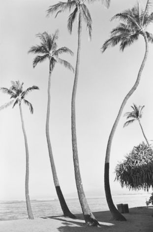 Henry Wessel, Waikiki No. 1, 1979
