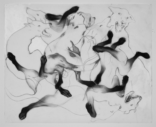 Anthony Goicolea, Entangled, 2011