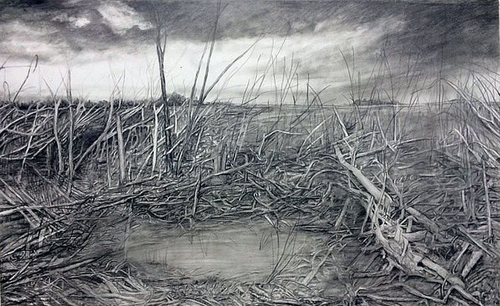 Stacey Cushner, Aftermath 3, 2014, 22 inches x 46 inches, graphite on paper