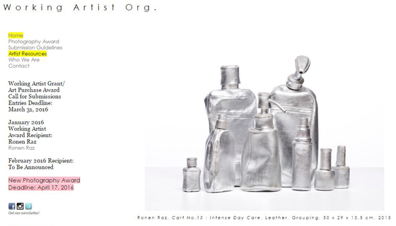 $1000 Working Artist Purchase Award