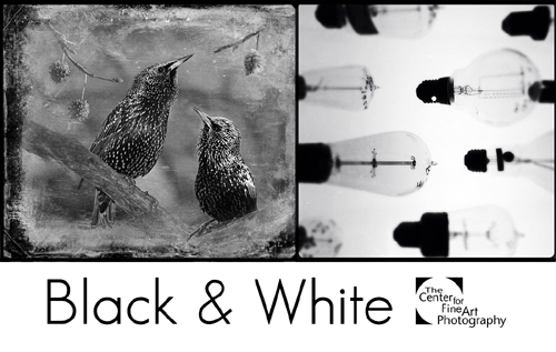 Black & White 2015  | INTERNATIONAL PHOTOGRAPHIC CALL FOR ENTRIES