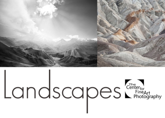 Landscapes 2016