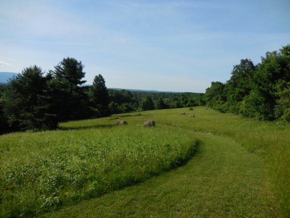 RESIDENCY 108 RESIDENCY 108