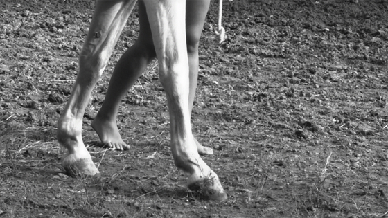 Adrian Paci, Inside the Circle, 2012, still dal video, 6' 33''