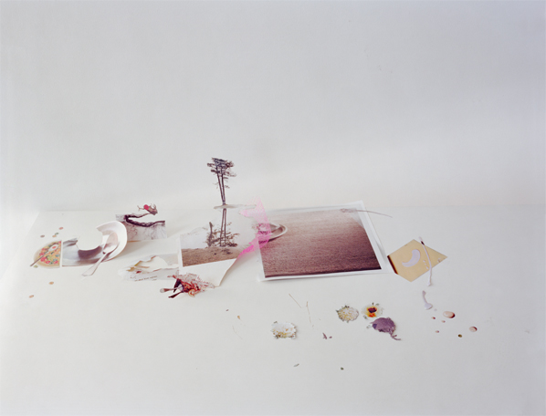 Laura Letinsky, Untitled #40, from the series Ill Form & Void Full, 2013