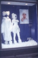 Display Case Display Case