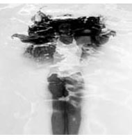 Unfolding Posture 1992