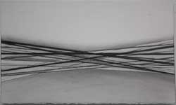 Charcoal and graphite on paper. 28 x 38 cms