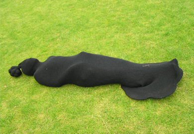 The falling Shadow in the Hidden Garden, Tramway, 