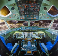 Screen oil on linen, 155 x 160 cm, 2005