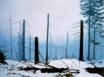 Zone oil on linen, 142 x 193 cm 2001 