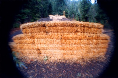 Transitory Space Series (Pool House)