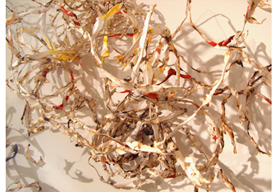 1.Intricacies - drawing in space 1.Intricacies - drawing in space