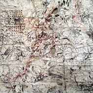 Shadowing Nature ©Ula Einstein Shadowing Nature ©Ula Einstein