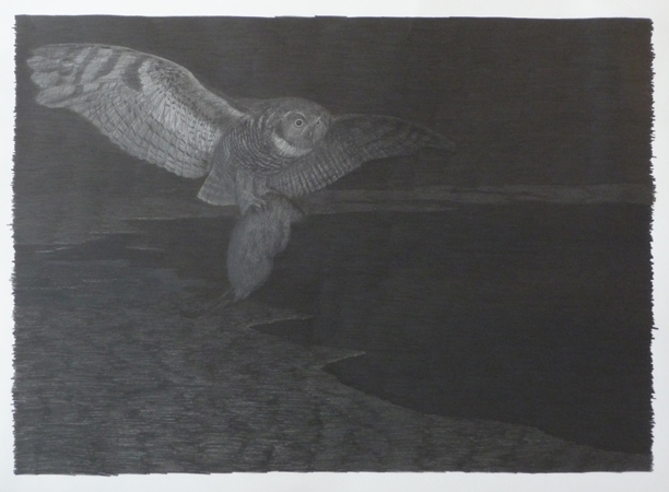 Hunting Owl, pencil, 30x40, 2009