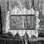 Picture and Wallpaper, 2006