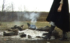 Still "Orchard Noir" video