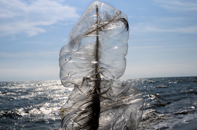 Message Sent, 2011, Archival Ink Jet, 24" x 36"<br/>(Single-Use Landscape series)<br/>