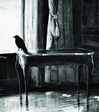 Raven, 2003 130 x 120 cm