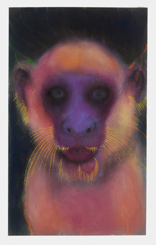 The Corridor Series Primate #31