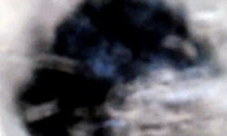 Swallow, video still Swallow, video still