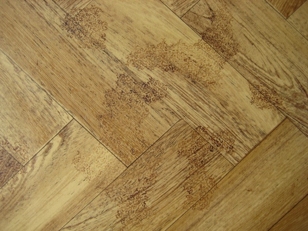 Untitled 2009 Untitled 2009