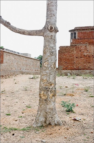 Nawalgarh, India. 2011<br/>Pigmented inkjet print. 52 x 34 cm<br/>