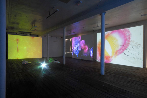 Installation view of
